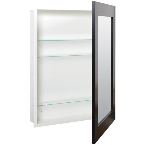 Wayfair Black Framed Medicine You'll Love in 2023